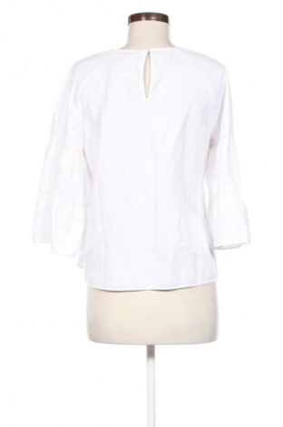 Damen Shirt Zara, Größe L, Farbe Mehrfarbig, Preis € 13,81