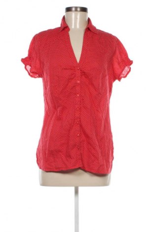 Damenbluse Chicoree, Größe L, Farbe Mehrfarbig, Preis 10,99 €