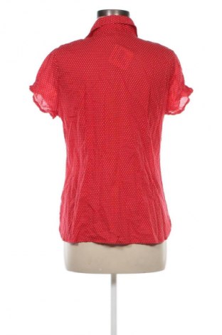 Damenbluse Chicoree, Größe L, Farbe Mehrfarbig, Preis 10,99 €
