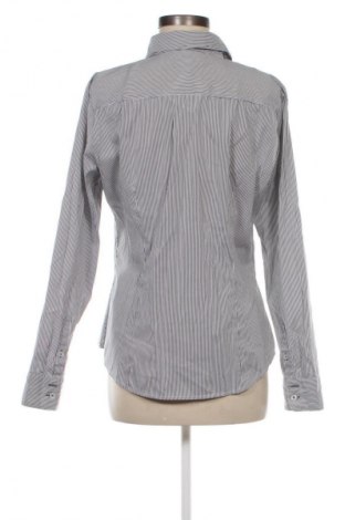 Damenbluse H&M, Größe L, Farbe Mehrfarbig, Preis € 12,79
