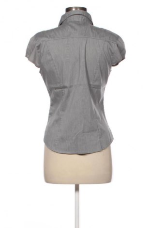 Dámska košeľa  H&M, Veľkosť M, Farba Viacfarebná, Cena  15,90 €