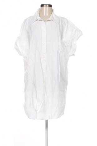 Damenbluse H&M, Größe L, Farbe Weiß, Preis 16,99 €
