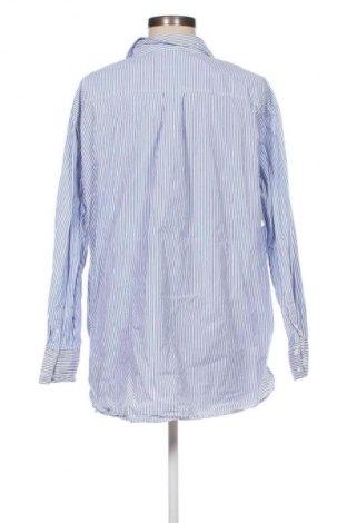 Damenbluse H&M, Größe L, Farbe Mehrfarbig, Preis 8,99 €
