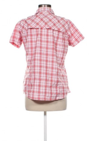 Damenbluse Icepeak, Größe M, Farbe Mehrfarbig, Preis 65,60 €