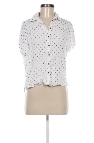 Damenbluse Mango, Größe L, Farbe Mehrfarbig, Preis 13,81 €