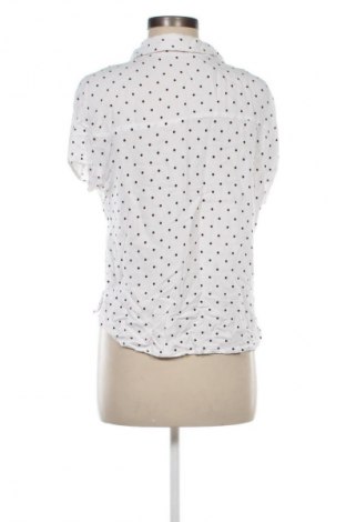 Damenbluse Mango, Größe L, Farbe Mehrfarbig, Preis 13,81 €