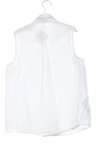 Damenbluse Mango, Größe XS, Farbe Weiß, Preis 13,82 €
