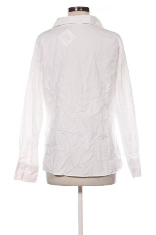 Damenbluse Marco Pecci, Größe L, Farbe Weiß, Preis € 7,99