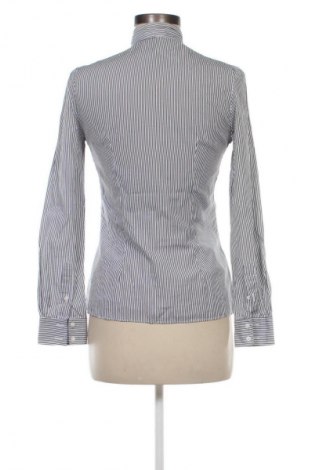 Damenbluse Massimo Dutti, Größe M, Farbe Mehrfarbig, Preis 28,13 €