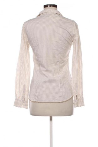 Damenbluse Massimo Dutti, Größe S, Farbe Mehrfarbig, Preis € 18,99