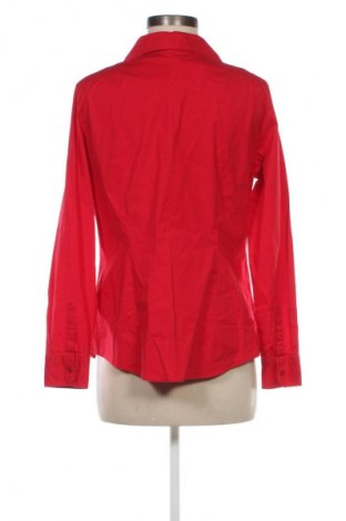 Damenbluse Montego, Größe L, Farbe Rot, Preis € 7,99
