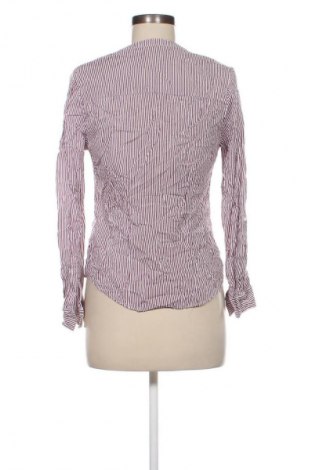 Damenbluse Primark, Größe M, Farbe Mehrfarbig, Preis € 17,99