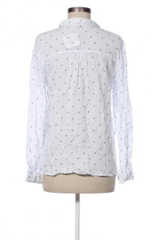 Damenbluse Pull&Bear, Größe L, Farbe Mehrfarbig, Preis € 17,99