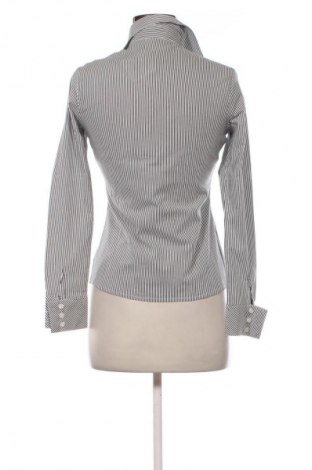 Damenbluse Sevenhill, Größe M, Farbe Mehrfarbig, Preis € 8,99