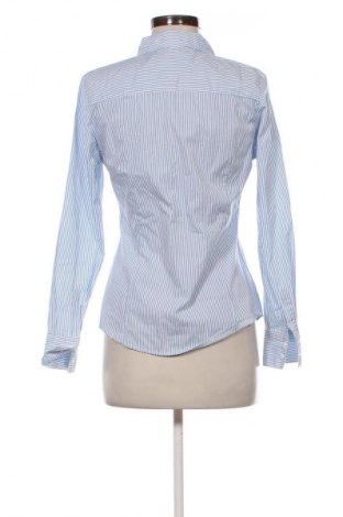 Damenbluse Sinsay, Größe S, Farbe Mehrfarbig, Preis € 12,79