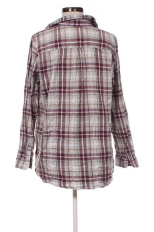 Damenbluse TCM, Größe XL, Farbe Mehrfarbig, Preis € 17,99