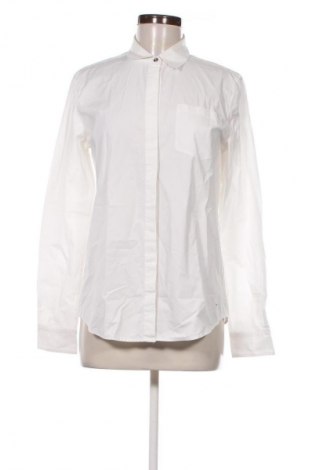 Damenbluse Tommy Hilfiger, Größe M, Farbe Weiß, Preis € 13,66