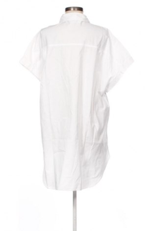 Damenbluse Zara, Größe L, Farbe Weiß, Preis 14,00 €