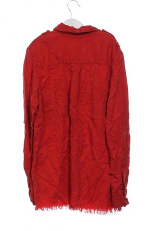 Damenbluse Zara, Größe XS, Farbe Rot, Preis 18,99 €