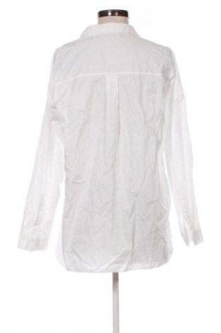 Damenbluse Zara, Größe L, Farbe Weiß, Preis € 13,80