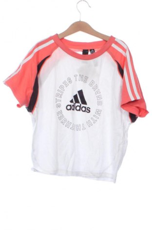 Damen T-Shirt Adidas, Größe XS, Farbe Mehrfarbig, Preis 37,42 €
