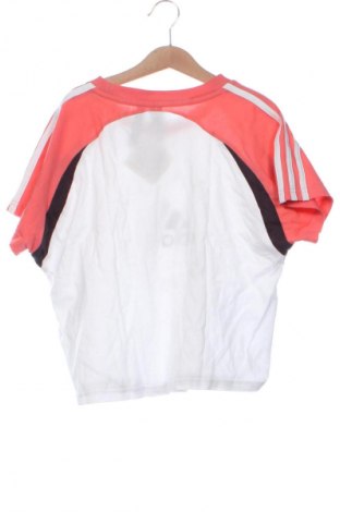 Damen T-Shirt Adidas, Größe XS, Farbe Mehrfarbig, Preis 37,42 €
