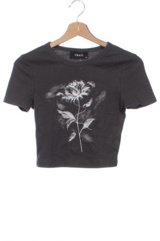 Γυναικείο t-shirt Cider, Μέγεθος XS, Χρώμα Πολύχρωμο, Τιμή 10,99 €