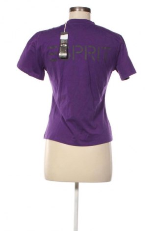 Damski T-shirt Esprit, Rozmiar L, Kolor Fioletowy, Cena 134,99 zł