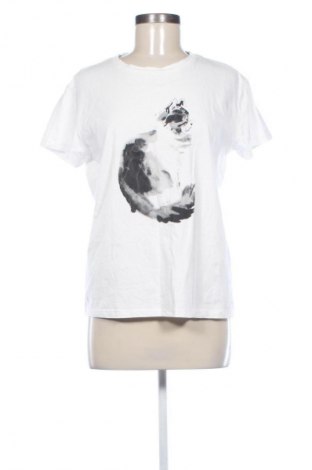 Damen T-Shirt Sinsay, Größe L, Farbe Weiß, Preis 11,73 €