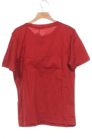 Damen T-Shirt Tommy Hilfiger, Größe XS, Farbe Rot, Preis € 47,99