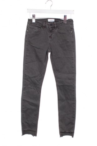 Damskie jeansy Motivi, Rozmiar XS, Kolor Szary, Cena 180,99 zł