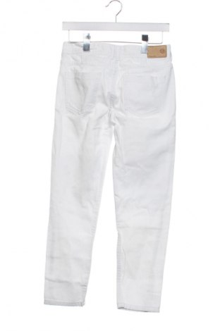 Damen Jeans Zara, Größe XS, Farbe Weiß, Preis 8,99 €