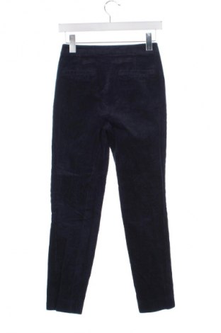 Damen Cordhose Massimo Dutti, Größe XS, Farbe Blau, Preis 42,99 €