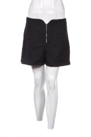 Damen Shorts & Other Stories, Größe L, Farbe Schwarz, Preis € 22,99