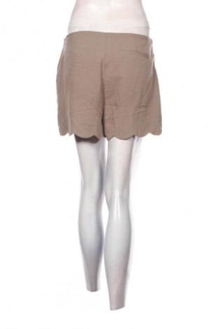 Dámske kraťasy  ASOS, Veľkosť M, Farba Béžová, Cena  19,95 €