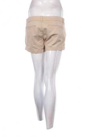 Damen Shorts American Eagle, Größe L, Farbe Beige, Preis 17,39 €
