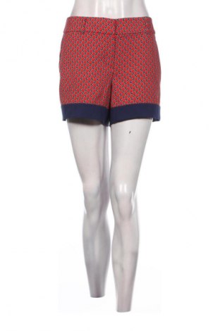 Dámske kraťasy  Ann Taylor, Veľkosť XL, Farba Viacfarebná, Cena  16,95 €