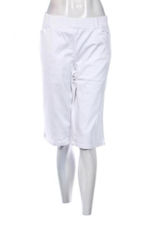 Damen Shorts Bpc Bonprix Collection, Größe XL, Farbe Weiß, Preis € 8,99