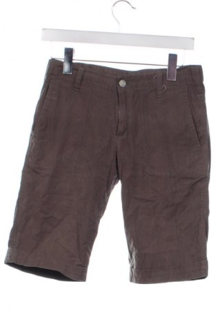 Γυναικείο κοντό παντελόνι Carhartt, Μέγεθος S, Χρώμα Πολύχρωμο, Τιμή 35,99 €