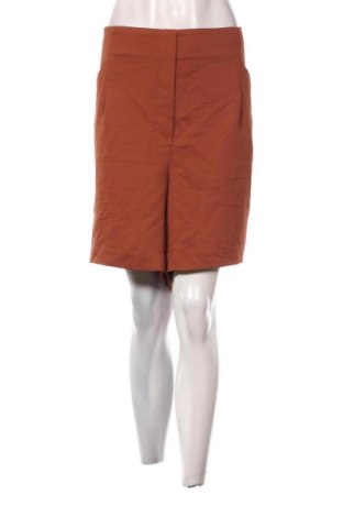 Damen Shorts Reitmans, Größe 4XL, Farbe Braun, Preis € 13,99