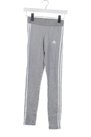 Damen Leggings Adidas, Größe XS, Farbe Grau, Preis 23,99 €