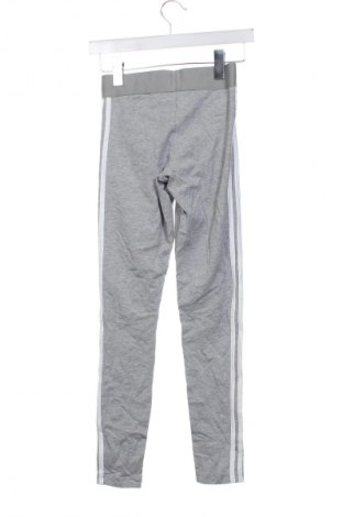 Damen Leggings Adidas, Größe XS, Farbe Grau, Preis 23,99 €
