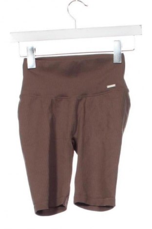 Damskie legginsy aim'n, Rozmiar XXS, Kolor Brązowy, Cena 203,99 zł