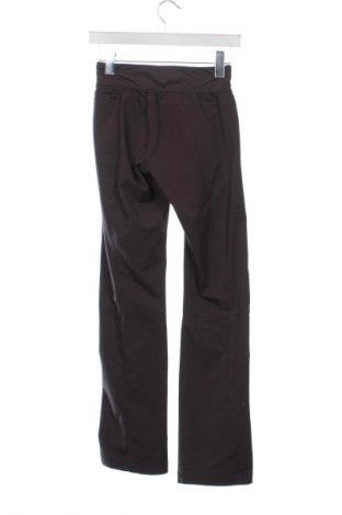 Damenhose Reebok, Größe XS, Farbe Braun, Preis 18,99 €
