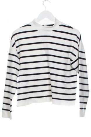 Damenpullover Mango, Größe XS, Farbe Mehrfarbig, Preis € 18,99