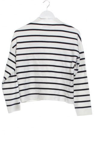 Damenpullover Mango, Größe XS, Farbe Mehrfarbig, Preis € 18,99