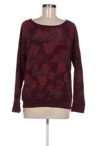 Damenpullover NEW COLLECTION, Größe M, Farbe Mehrfarbig, Preis € 11,99