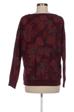 Damenpullover NEW COLLECTION, Größe M, Farbe Mehrfarbig, Preis € 11,99