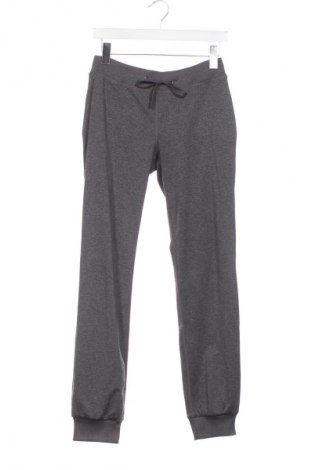 Dámské tepláky Active By Tchibo, Velikost XS, Barva Šedá, Cena  189,00 Kč