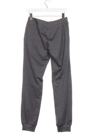 Dámské tepláky Active By Tchibo, Velikost XS, Barva Šedá, Cena  189,00 Kč